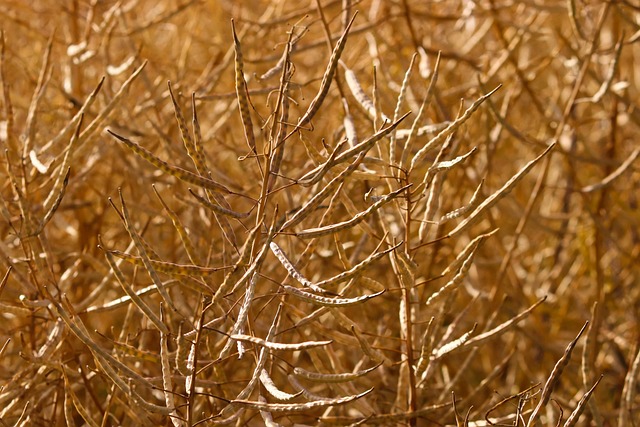 rape lawyers Portland OR