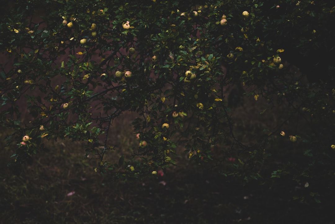 Protecting Patients: Louisville KY Hospital Law Firm Advocacy