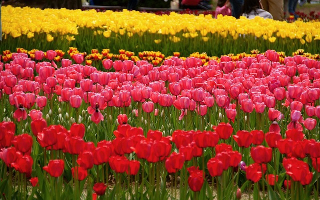 lawyer,lawsuit,Columbus OH