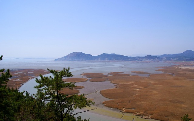 lawyer,lawsuit,Columbus OH