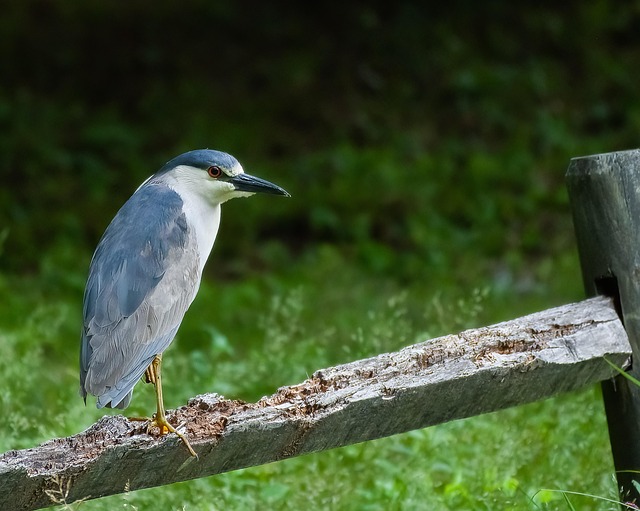 lawyer,lawsuit,Connecticut