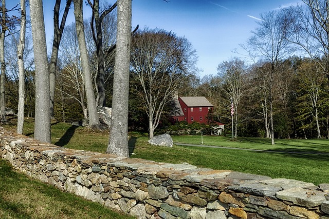 lawyer,lawsuit,Connecticut