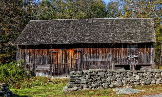 lawyer,lawsuit,Connecticut