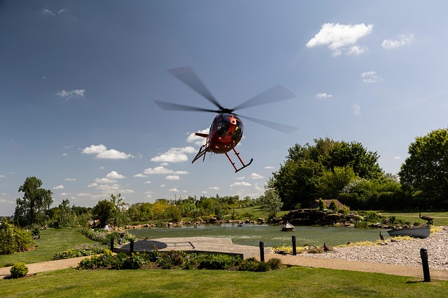 lawyer,lawsuit,cruise ship,Baltimore MD