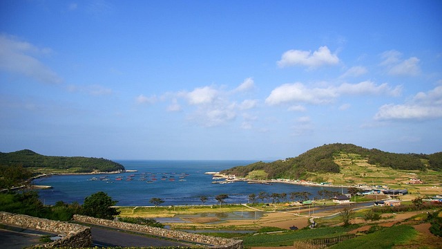 lawyer,lawsuit,cruise ship,Cleveland OH