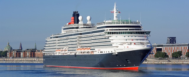 lawyer,lawsuit,cruise ship,Houston TX