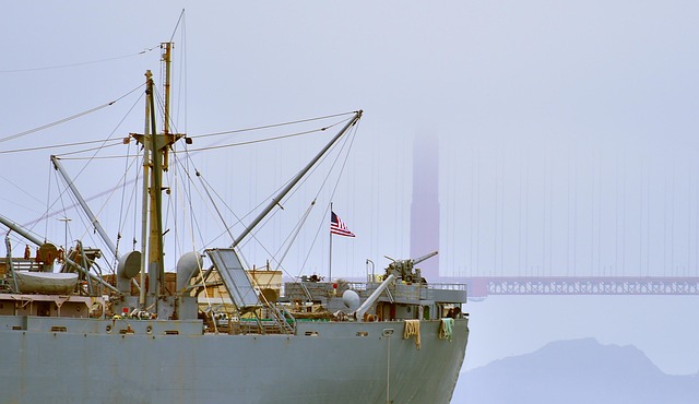 lawyer,lawsuit,cruise ship,San Antonio TX