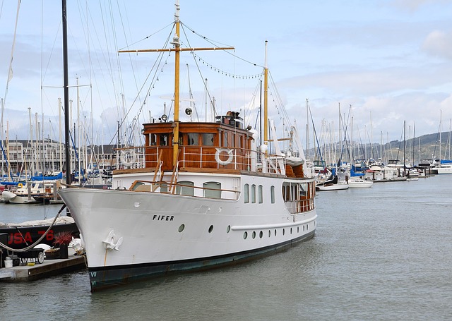 lawyer,lawsuit,cruise ship,San Francisco CA