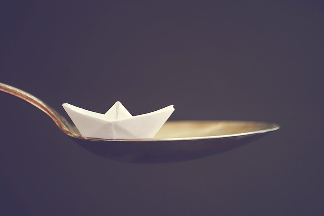 lawyer,lawsuit,cruise ship,Wichita KS