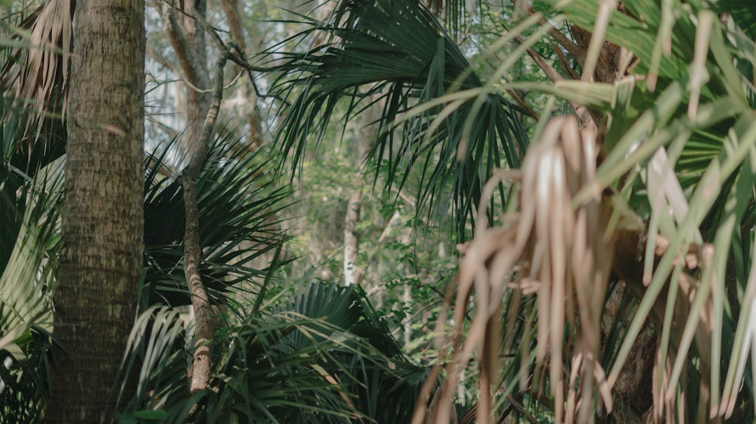 lawyer,lawsuit,Florida