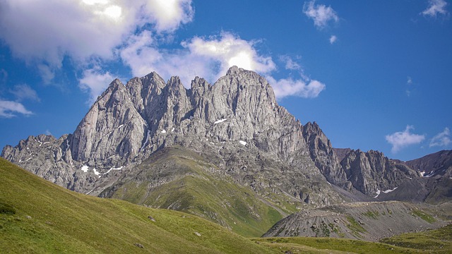 lawyer,lawsuit,Georgia