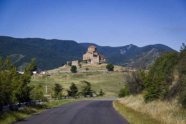 lawyer,lawsuit,Georgia