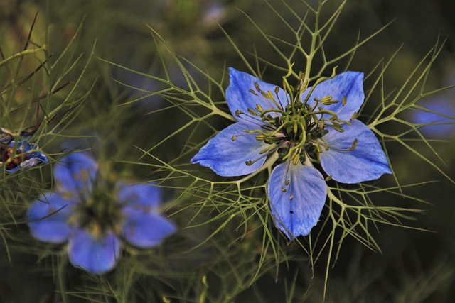 lawyer,lawsuit,Indianapolis IN