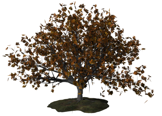 lawyer,lawsuit,Indianapolis IN