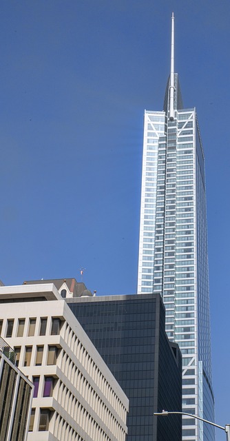 lawyer,lawsuit,Los Angeles CA