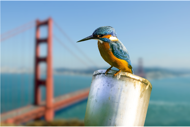 lawyer,lawsuit,Los Angeles CA