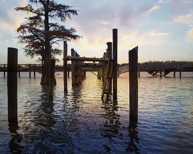 lawyer,lawsuit,Mississippi