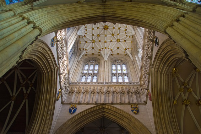 lawyer,lawsuit,New York