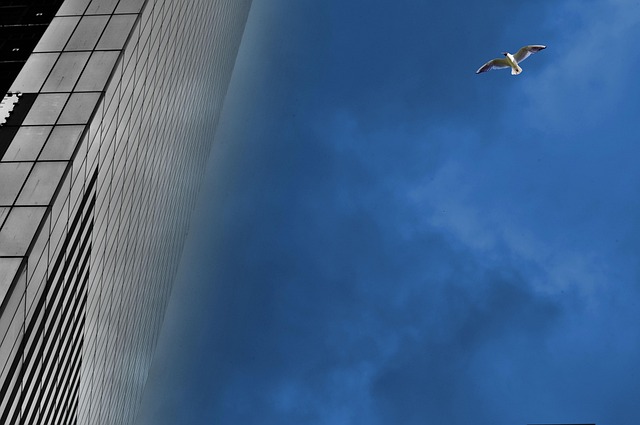 lawyer,lawsuit,New York