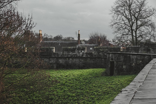 lawyer,lawsuit,New York