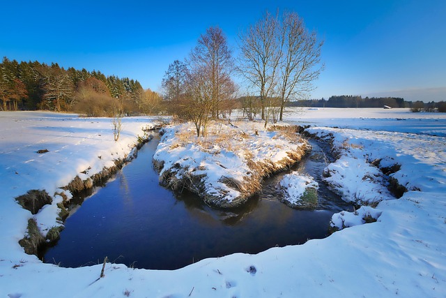 lawyer,lawsuit,nursing home,Austin TX