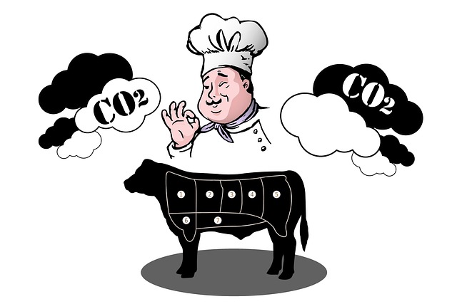 lawyer,lawsuit,nursing home,Denver CO