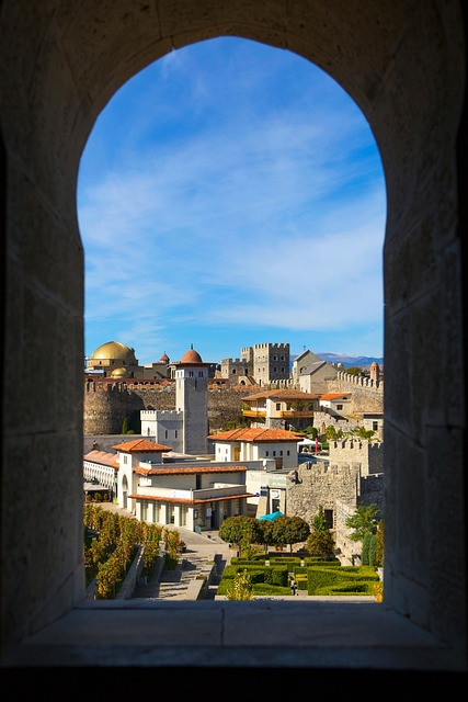 lawyer,lawsuit,nursing home,Georgia