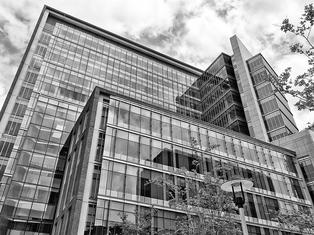 lawyer,lawsuit,nursing home,Maryland