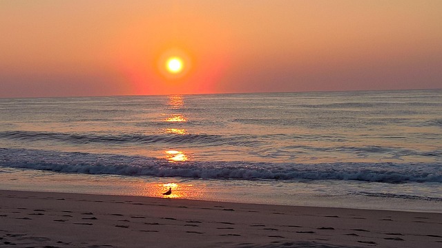 lawyer,lawsuit,nursing home,Maryland