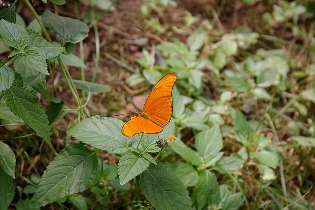 lawyer,lawsuit,nursing home,New York