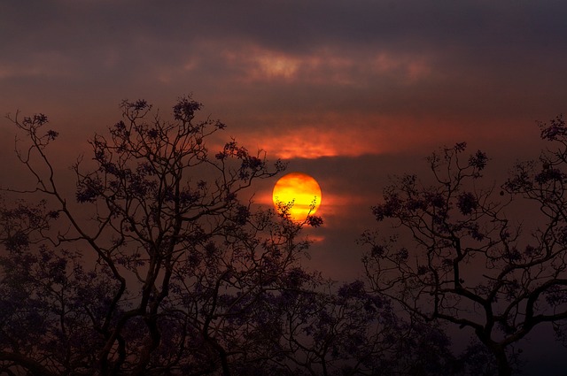 lawyer,lawsuit,nursing home,Seattle WA