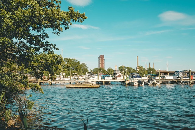 lawyer,lawsuit,nursing home,Seattle WA