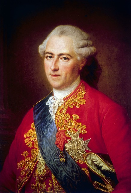 lawyer,lawsuit,nursing home,St. Louis MO