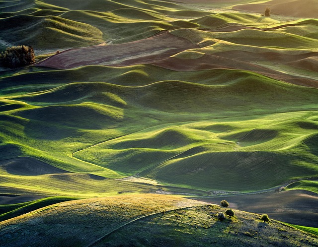 lawyer,lawsuit,nursing home,Washington