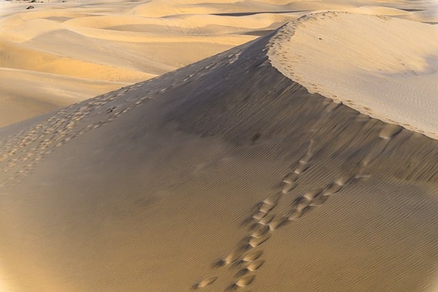 lawyer,lawsuit,Rhode Island