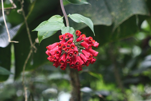 lawyer,lawsuit,San Antonio TX