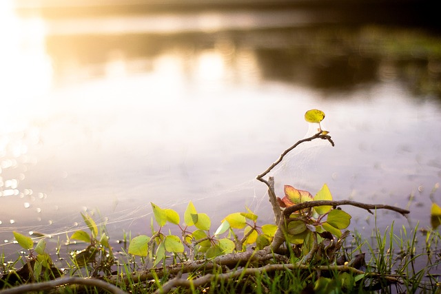 lawyer,lawsuit,San Diego CA