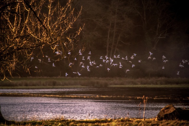 lawyer,lawsuit,San Diego CA