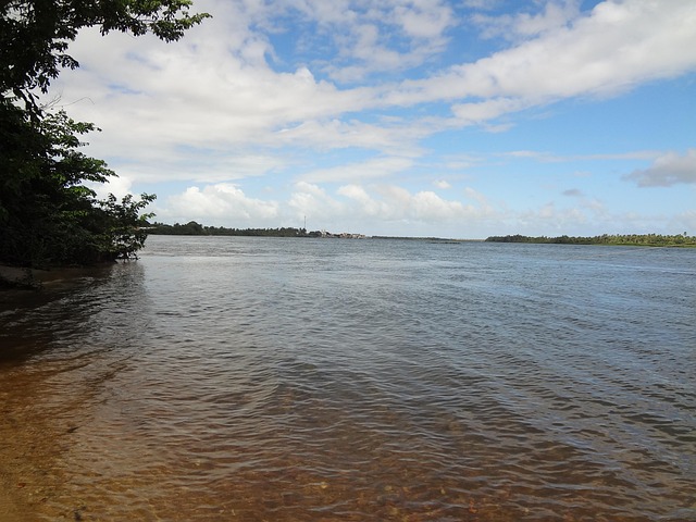 lawyer,lawsuit,San Francisco CA