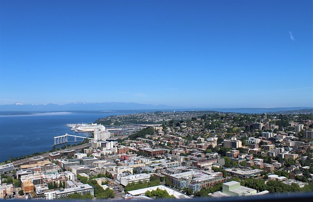 lawyer,lawsuit,Seattle WA