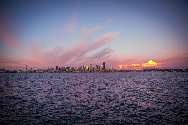 lawyer,lawsuit,Seattle WA