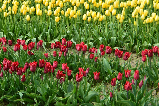 lawyer,lawsuit,Seattle WA