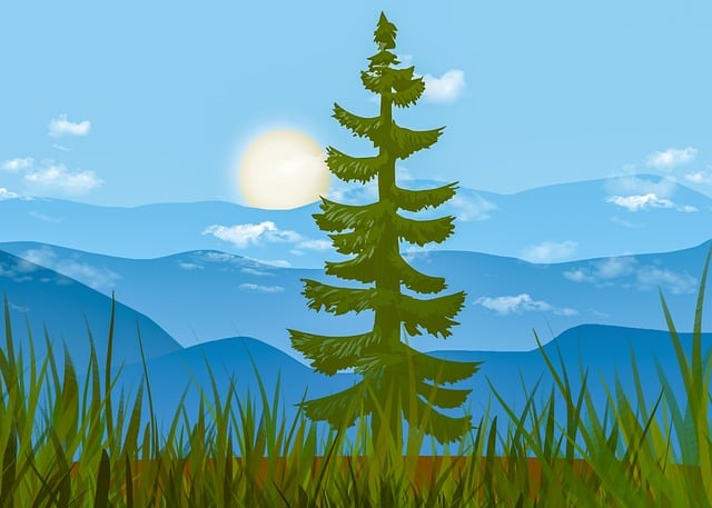 lawyer,lawsuit,South Carolina