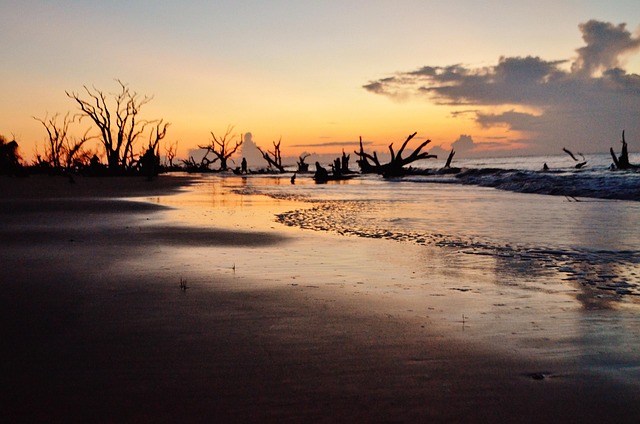 lawyer,lawsuit,South Carolina