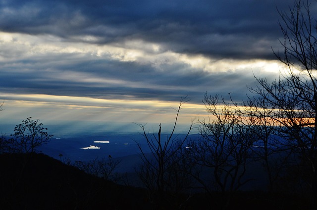 lawyer,lawsuit,South Carolina