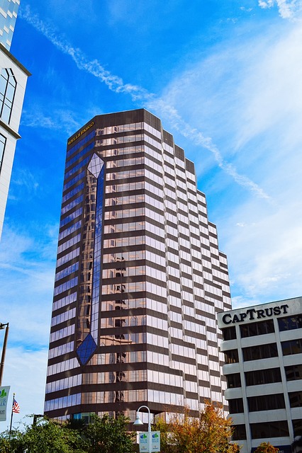 lawyer,lawsuit,Tampa FL