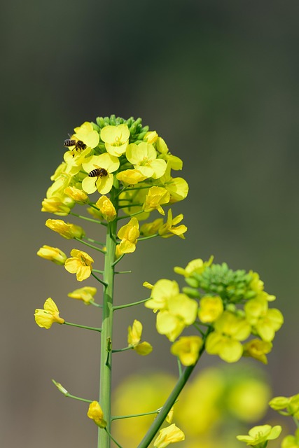 rape attorney Portland OR