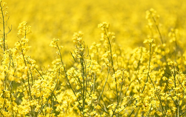 rape law firm Portland OR