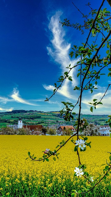 rape law firms Portland OR