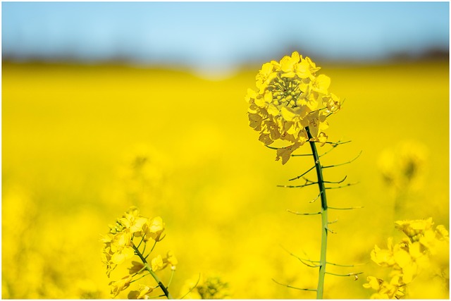 rape law firms Portland OR